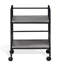 Zaylee 44.7cm W Metal Shelving Unit with Wheels-1675128246