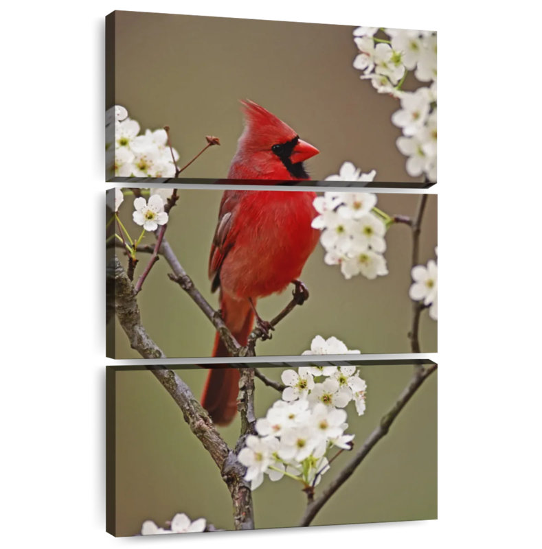 Brampt Northern Cardinal And Pear Flowers, 32" H x 20" W