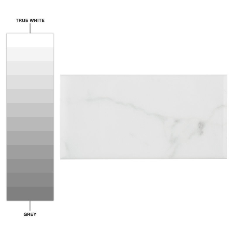 Classico Carrara 3" x 6" Ceramic MarbleLook Subway Tile