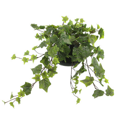 Jenner Faux Ivy Plant in Glass Vase