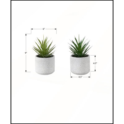 Ensemble de 2 plantes succulentes artificielles, 23 cm de hauteur, pots en ciment blanc, décoration moderne et contemporaine
