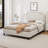 Elegant Full Size Velvet Upholstered Bed Frame Set With Versatile Ottoman Storage