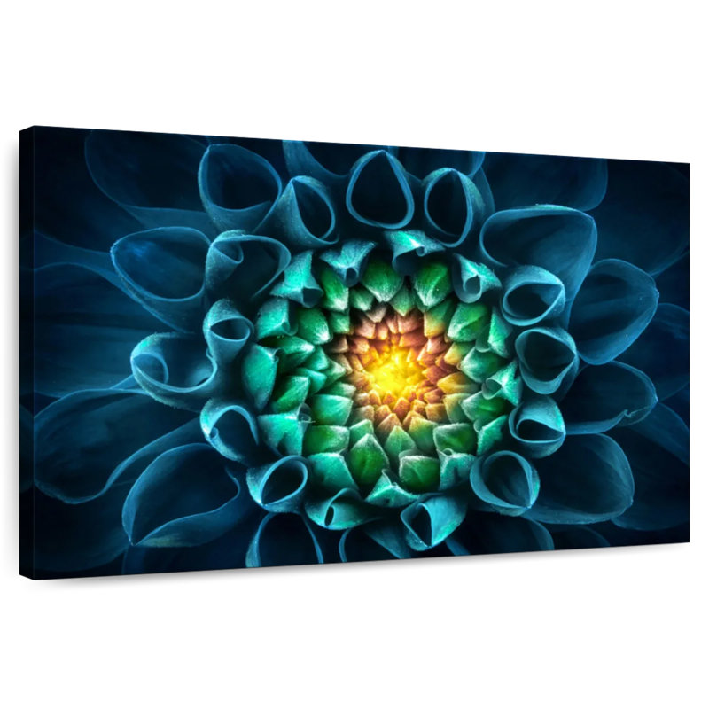 Couleurs Harnek Chrysanthemum, H 20 po x l 30 po