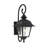 Hartnett 19.5 H Outdoor Wall Lantern in Textured Black-26243765