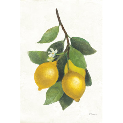 Branche de citron III