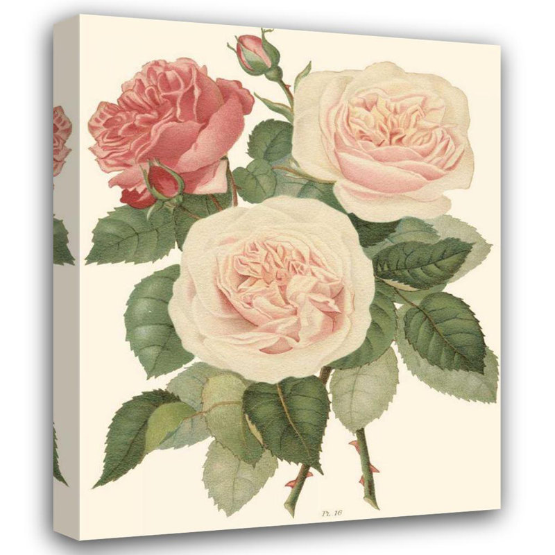 Art sur toile tendue Red Barrel Studio® Vision Studio Gallery: Vintage Roses II, H 34 po x l 28 po