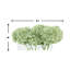 Hydrangea In Clear Rectangle Glass Vase With Acrylic Water