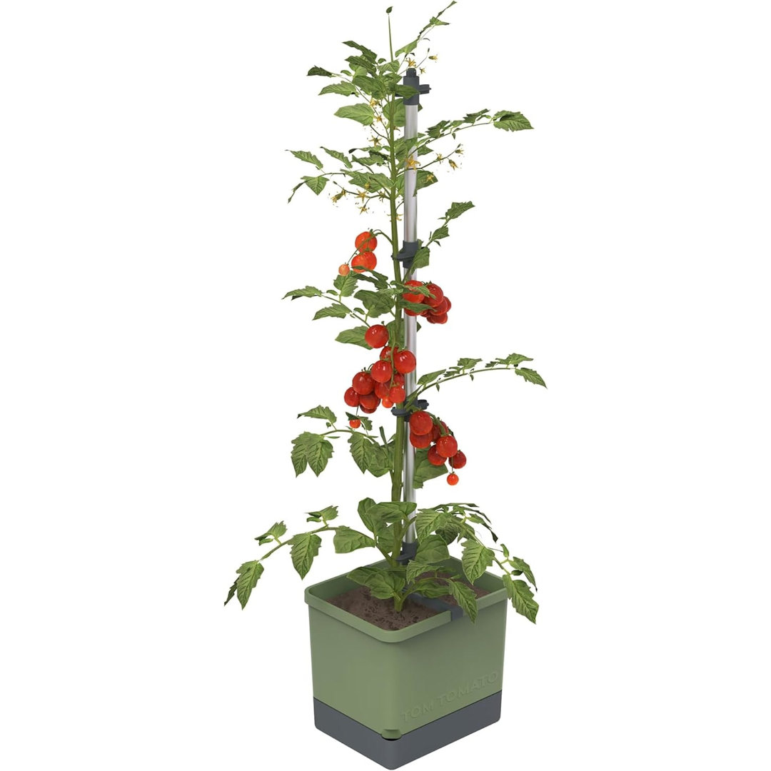 Tom Tomato Tomato Planter Pot, Climbing Aid, Plant Clips, Self-Watering, 4.5L Water Tank, 20L Soil