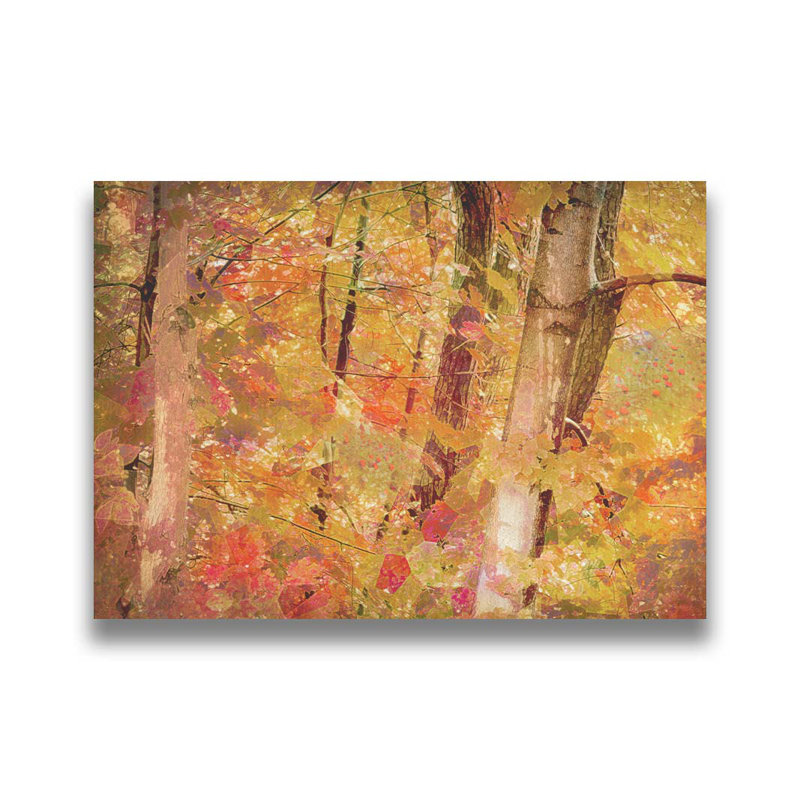 Klimt's Forest par Hal Halli. Estampe numérique, H 30,5 po x l 40,5 po, Brun, Impression encadrée sans passe-partout