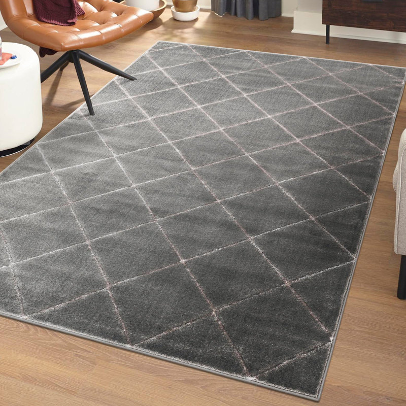 Latitude Run® Checks Novica Rug Gray and Silver, Rectangle 6'1" x 9'