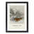 Black Framed selected