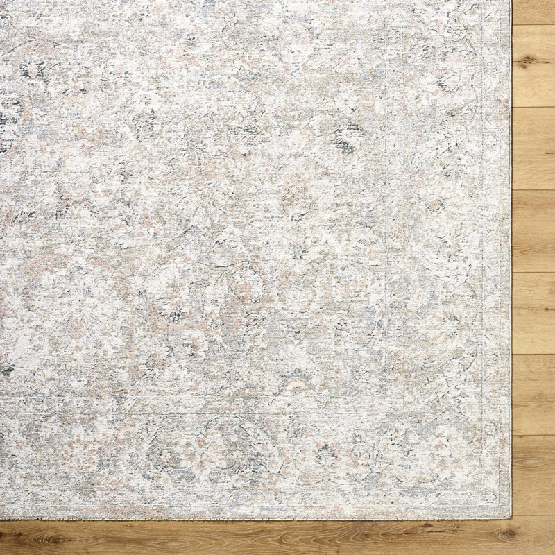 Arghira Traditional Machine Woven Area Rug, Rectangle 2'8" x 3'11"