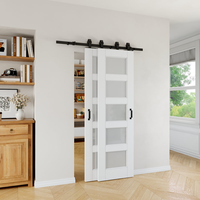 Portes doubles de grange coulissantes 28 "x 80" 5-Lite, 28 po x 80 po