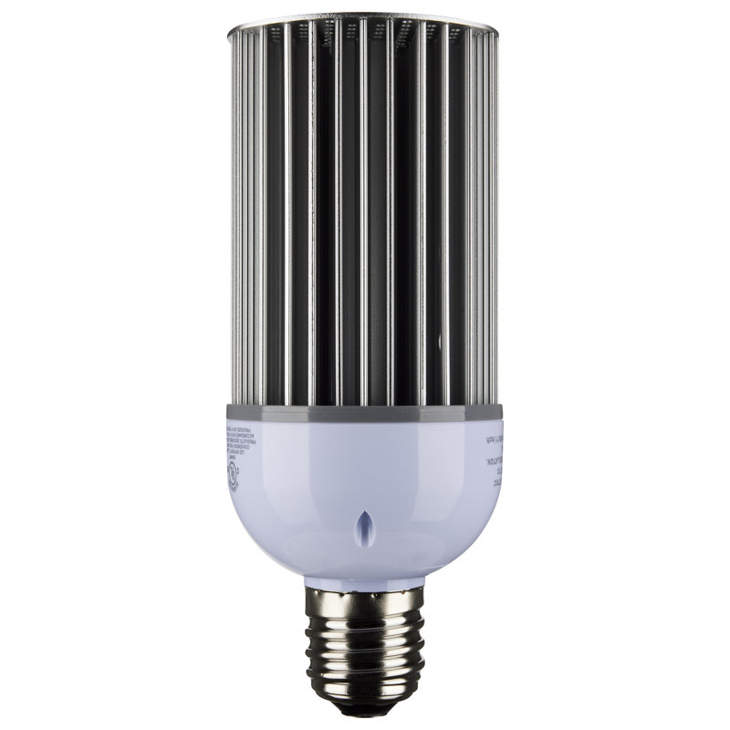 30 Watt Clear LED Bulb, 3000K