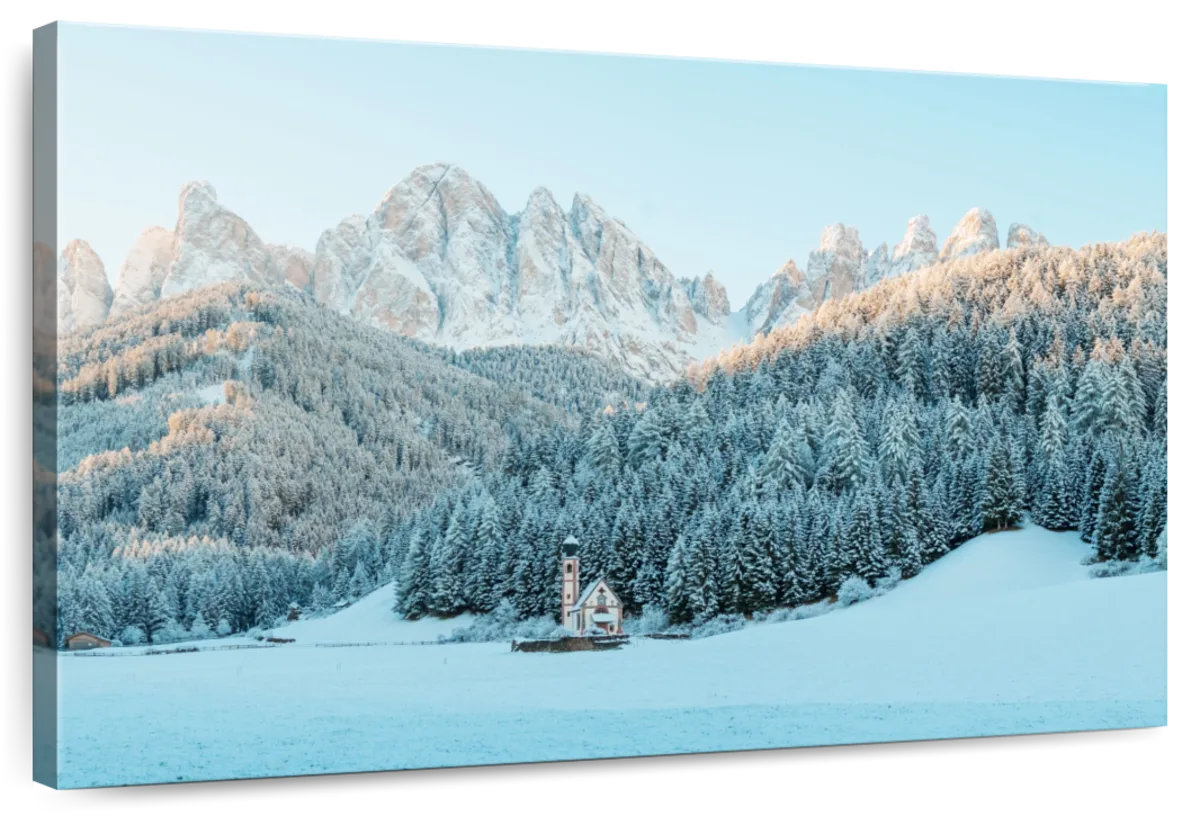 Millwood Pines Alvord Dolomites Winter Forest | Wayfair