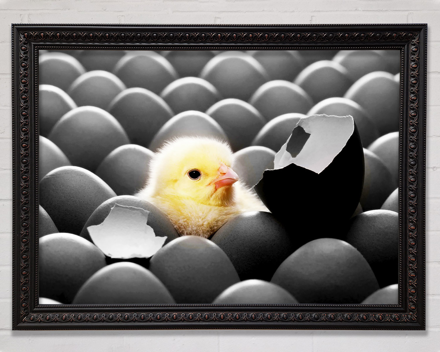 Bright Star Chick Hatching - Single Picture Frame Art Prints | Wayfair ...