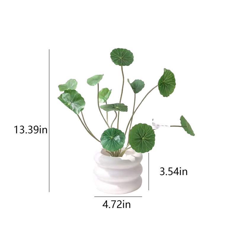 13,39 plante
