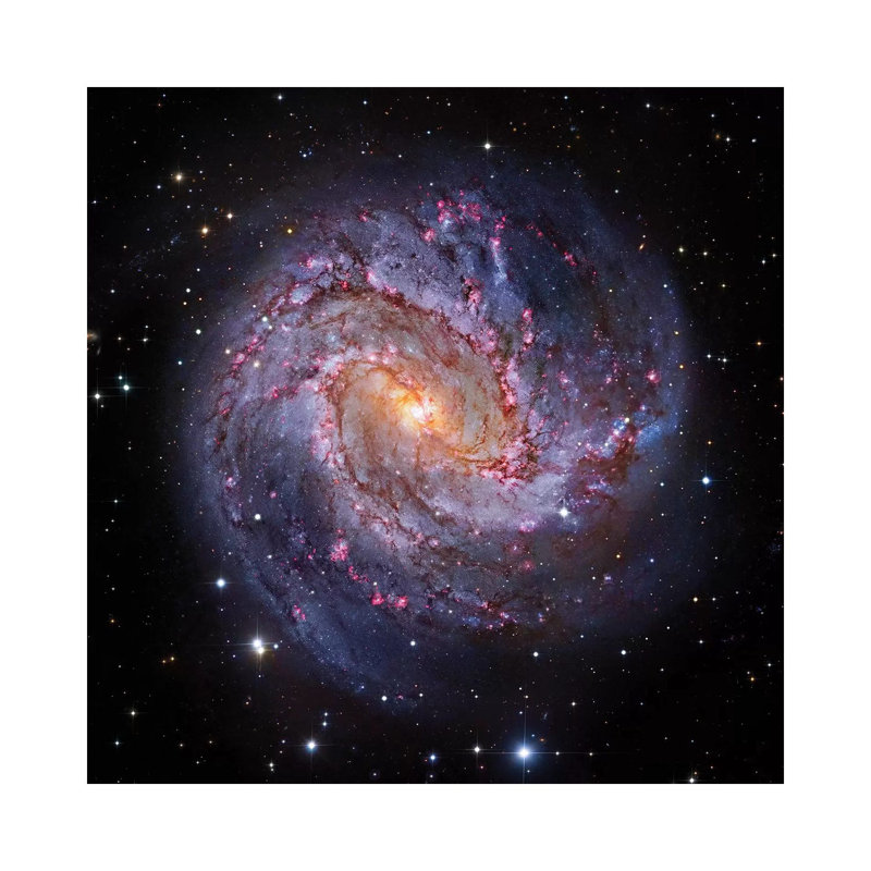 M83, Spiral Galaxy In Hydra I by Robert Gendler - Wrapped Canvas Print, 66.04 cm H x 66.04 cm W x 1.91 cm D