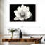 Fleur de lotus Harnek II-107720991