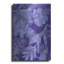 Ivy Bronx «Very Peri Botanical Print 4» par St. Hilaire Elizabeth, art mural en métal-531127627