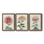 «Chrysanthemum Woodblock I», ensemble de 3 peintures sur toile encadrées-2042041060-2042041083