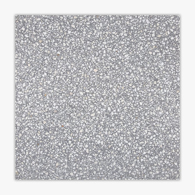 Light Grey Polished 24x24 Real Terrazzo Tile
