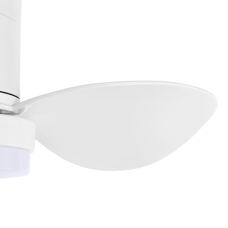 Ventilateur de plafond 22 po à 3 pales 22 pouces avec télécommande, Blanc, Blanc