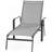 Wrenn Outdoor Metal Chaise Lounge Set