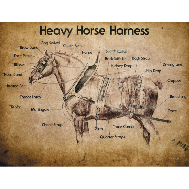 Manervia " Heavy Horse Harness " by Stellar Design Studio, 32" H x 48" W