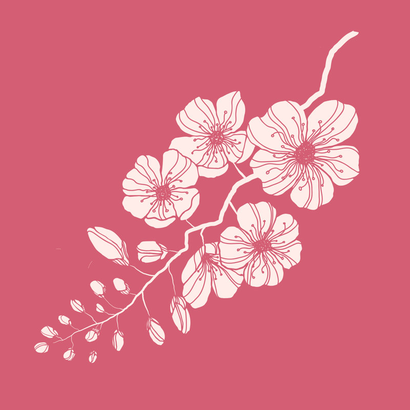 Sakura Branch - Wrapped Canvas Print, 51cm H x 51cm W x 3.8cm D