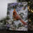 Snowy Pine Cardinal 8x6 Mini Lighted Easel Back Canvas