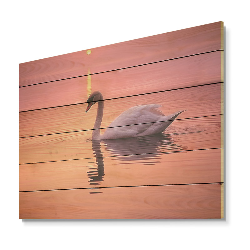 Cygne corail au crépuscule I - cygnes, art sur bois de pin naturel, H 30 po x l 40 po