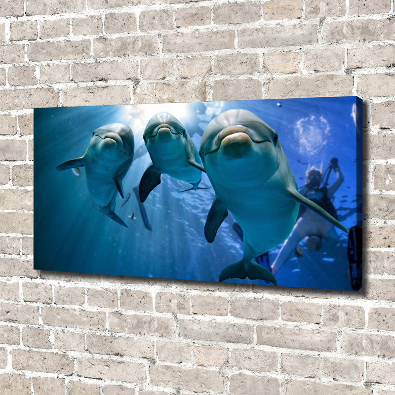 Three Dolphins - Wrapped Canvas Print