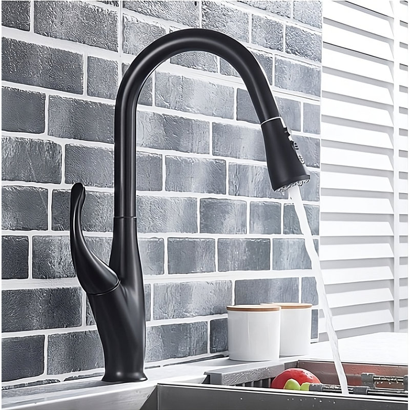 Robinet de cuisine Lisse-Black Tulip