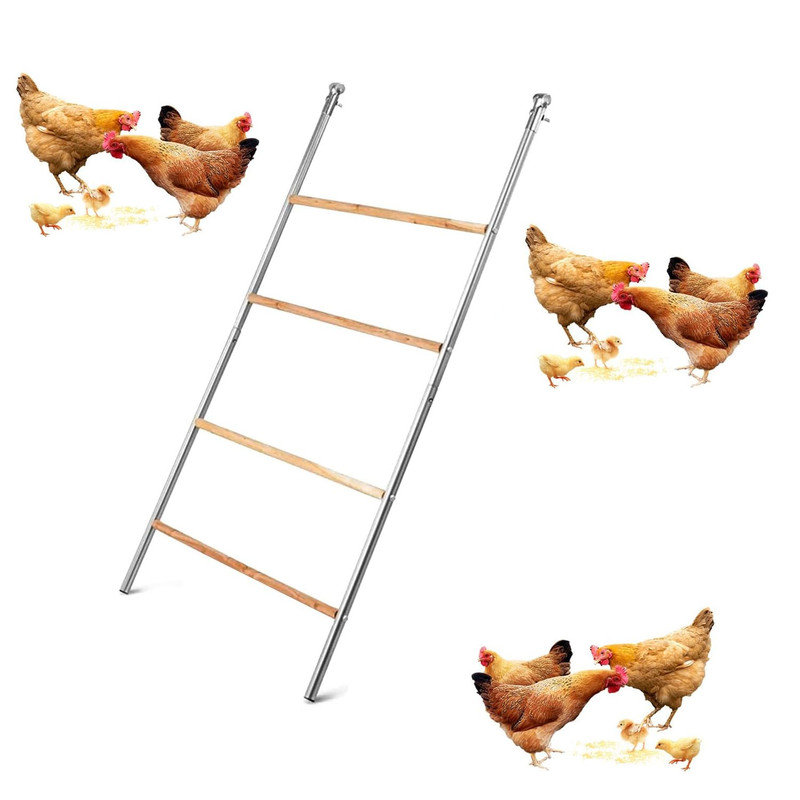55'' x 39'' Galvanized Iron Chicken Roosting Bars Poultry Ladder for Backyard