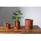 Patti Handmade Ceramic Pot Planter