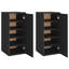 10 Pair Shoe Storage Cabinet