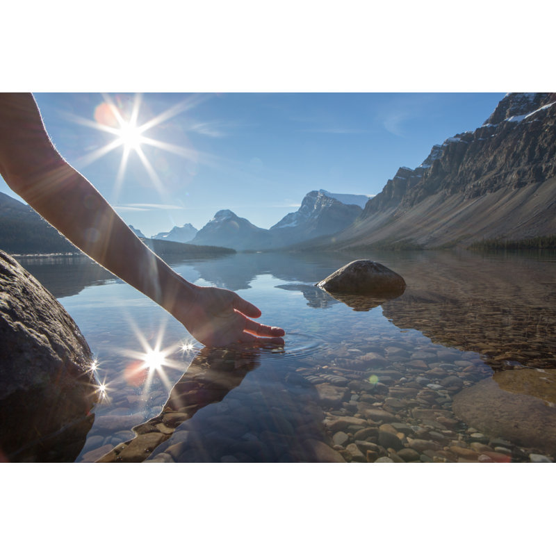 Human Hand by Swissmediavision - No Frame Art Prints on Canvas, 61cm H x 91cm W