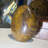 Colorful Ocean Jasper Free Form