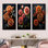 Zinnias Emerge From The Shadows - Zinnias, ensemble de 4 reproductions d'art sur toile
