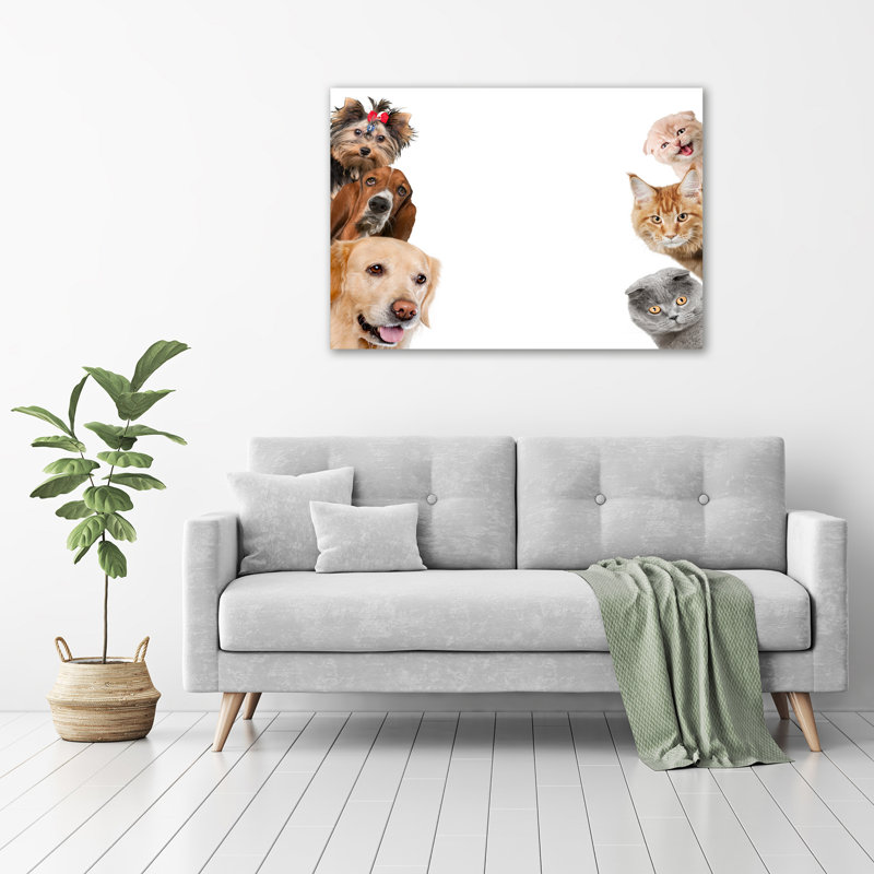 Dogs And Cats - No Frame Print on Glass
