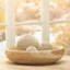 Handmade Wood Decorative Bowl-483159654