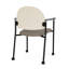 Chaise d'invité à chat avec roulettes-98881921-98671338