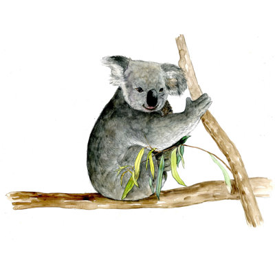 " The Koala " Painting Print