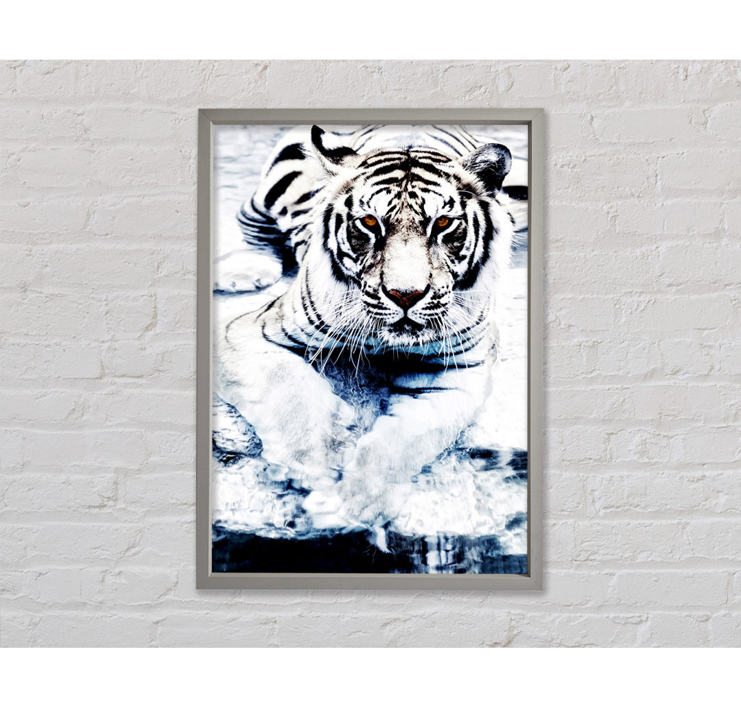 White Tiger Stare - Einzelner Bilderrahmen Kunstdrucke auf Leinwand