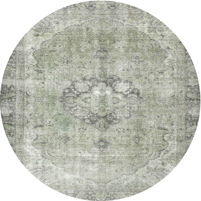 Aizhan Oriental Indoor Rug, Round 4'