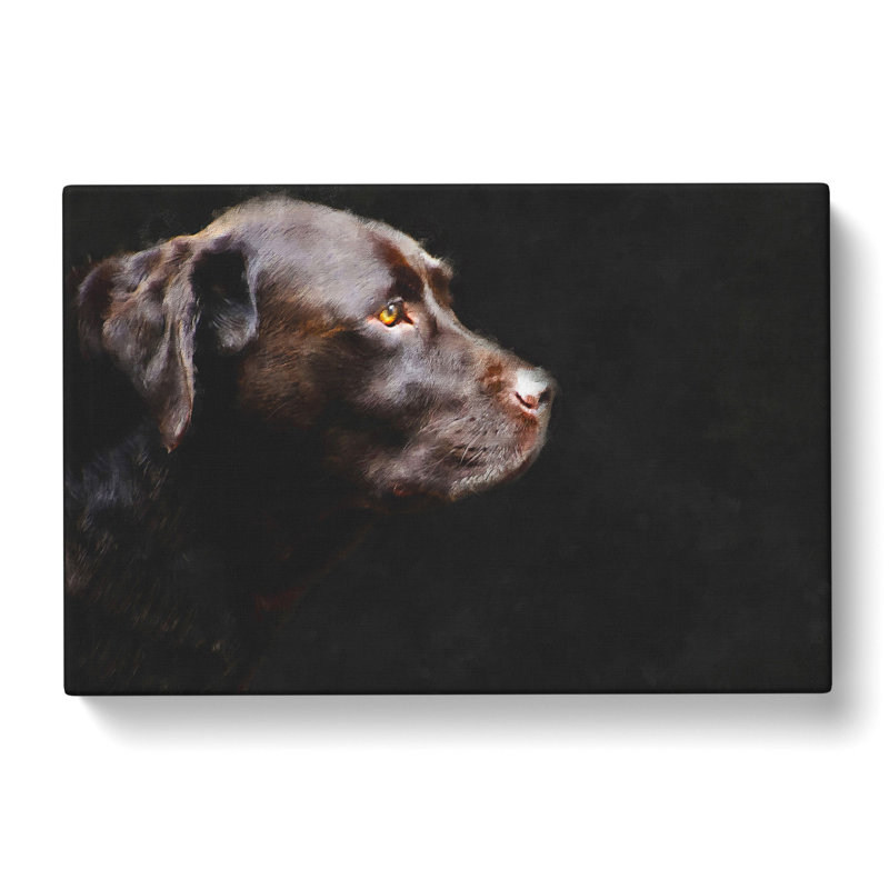 Chocolate Labrador Dog - Wrapped Canvas Print, 35cm H x 50cm W x 3cm D