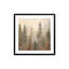 «Foggy Warm Forest I»-162006523-162006519