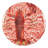 Hashimoto DINNER PLATES S/4 ASSORTED