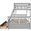 Full Bunk Bed In Grey, Meets Requirements Bed, Grey Colour, Construction-437887020-437887019